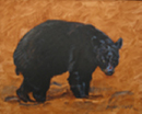 Black Bear Study - Acrylic - 20x16